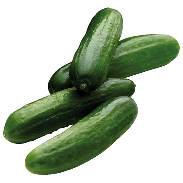 Local Produce Cucumbers (Per Kg)