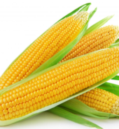 IP Corn Yellow    (per KG)
