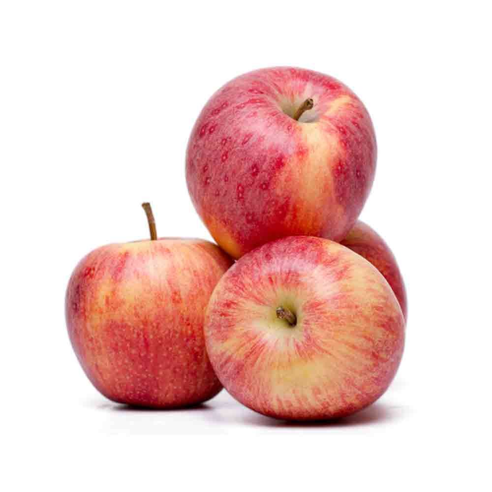 Imported Apple Gala (Each)