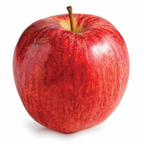 Imported Apple Gala Large (Each)