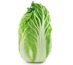 Imported Cabbage Nappa (Per Kg)