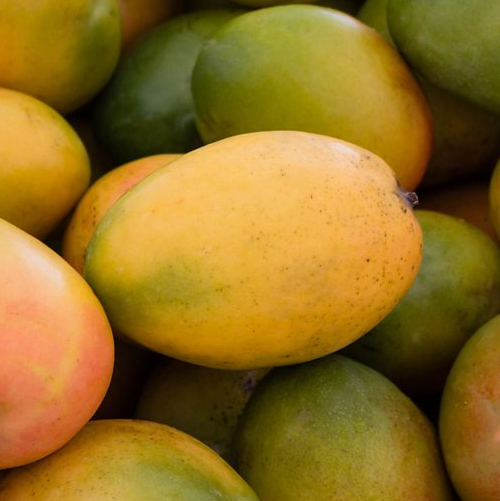 Local Produce Exotic Mangoes (per KG)