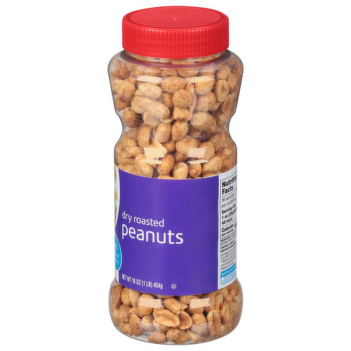 Food Club Dry Roasted Salt Peanut 454G
