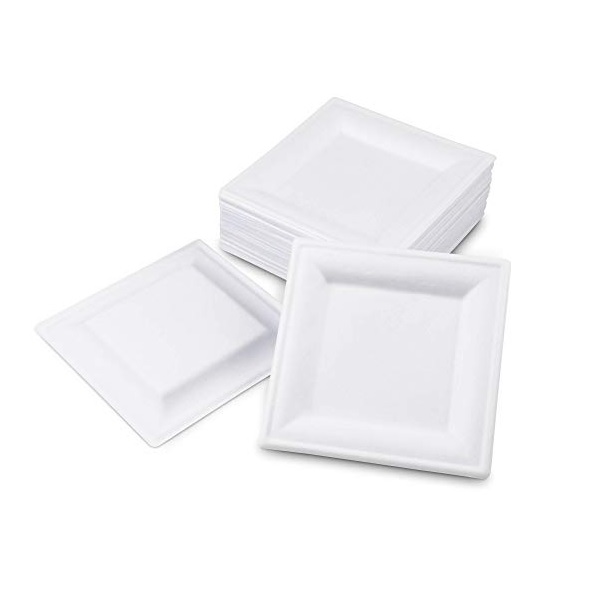 Green to GO Biodegradable White Square Plate 25X 6″