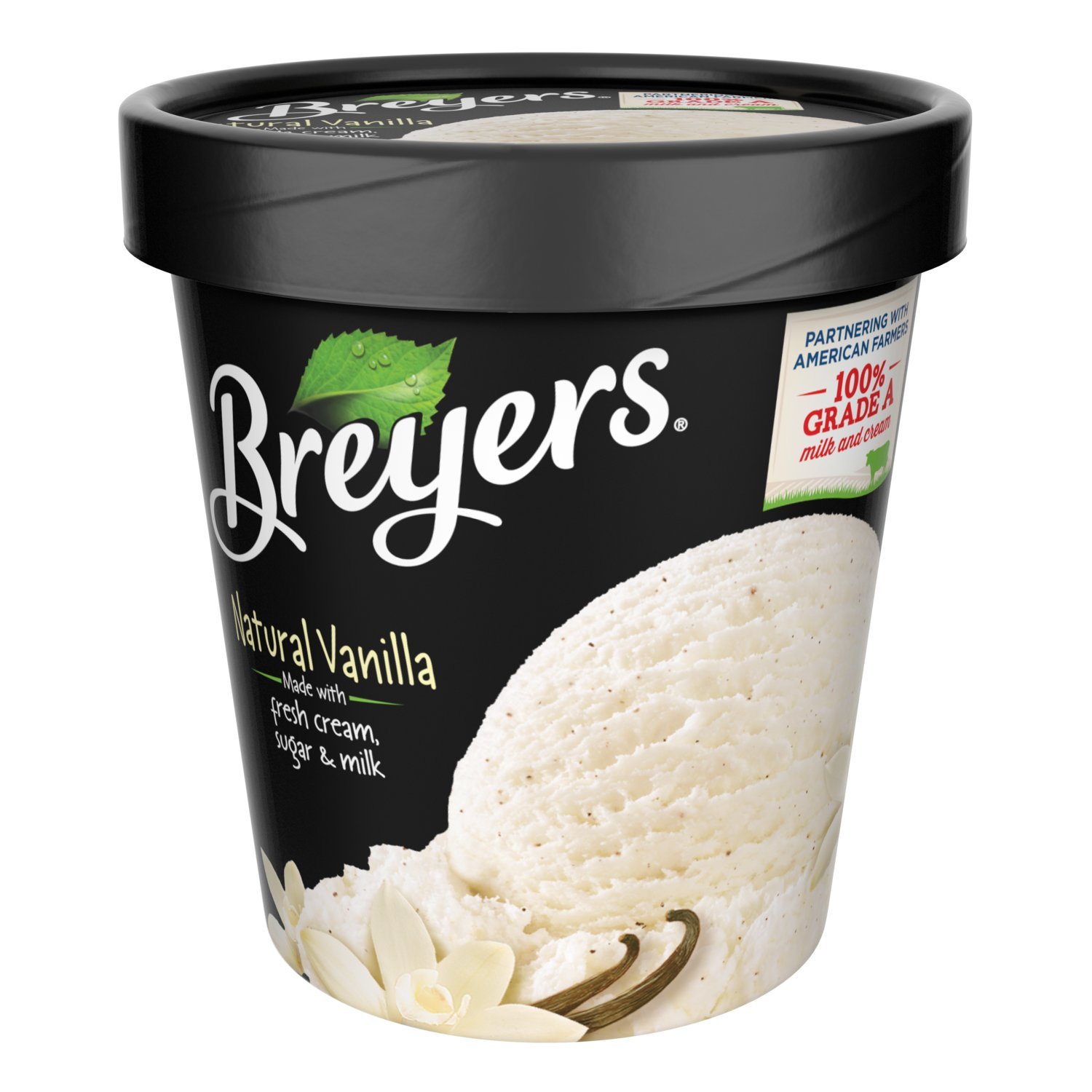 Breyers Pints Vanilla Icream 454G