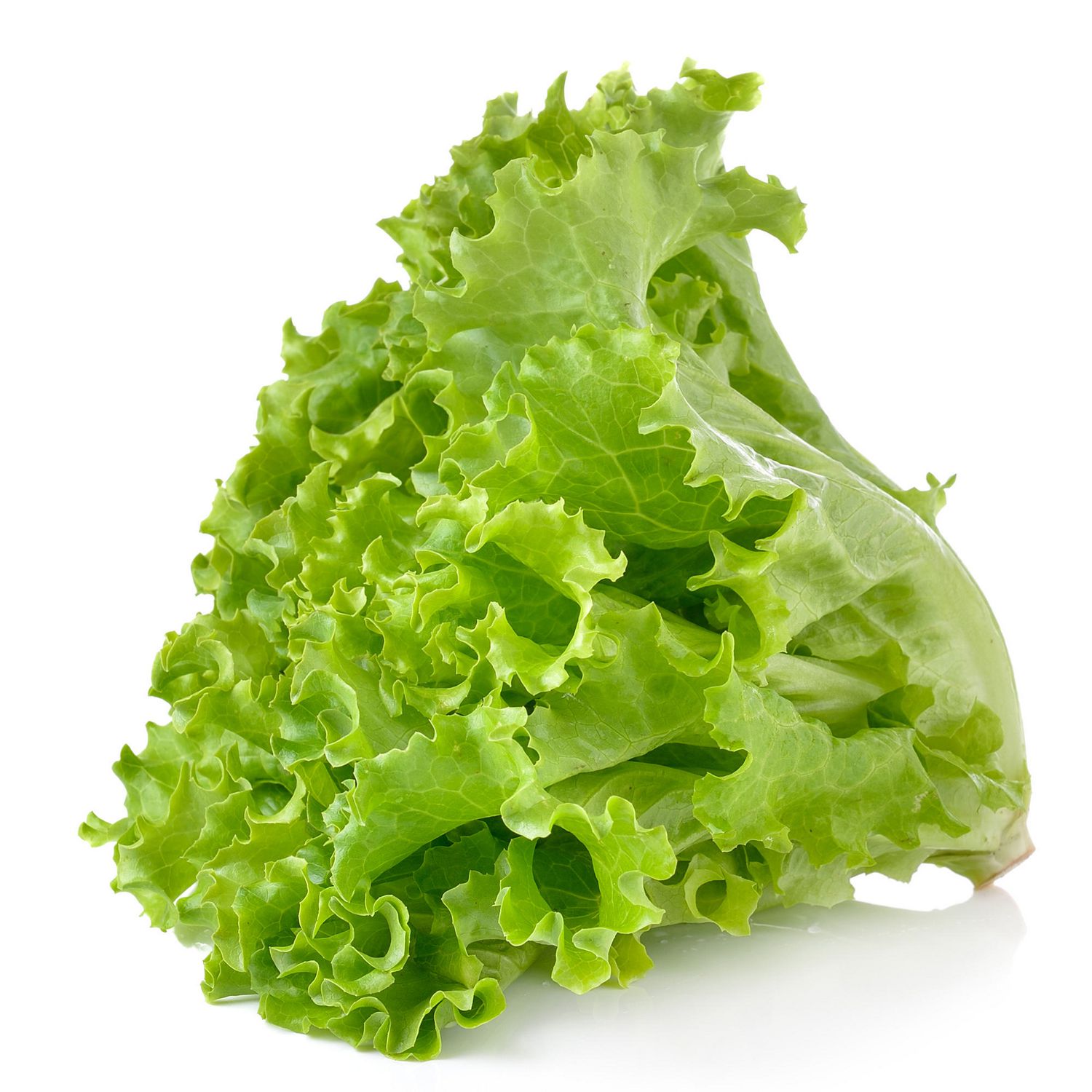 Local Produce Green Lettuce (per KG)
