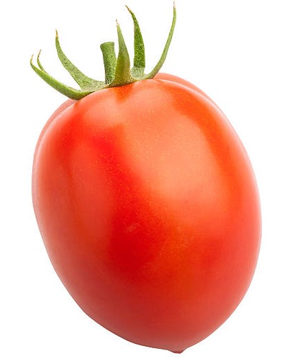 Imported Plum Tomatoes (per KG)