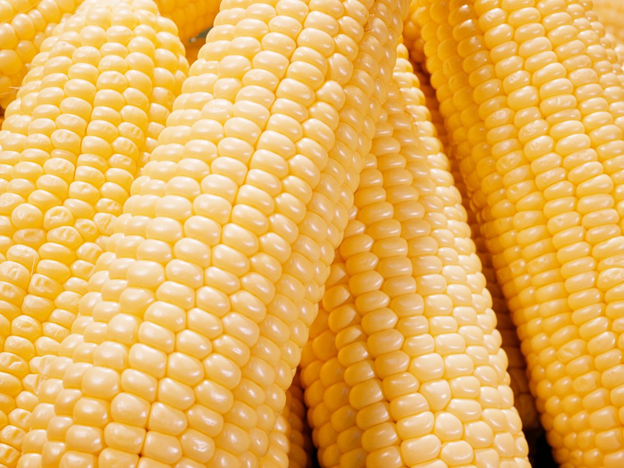 Imported Corn Yellow (Each)