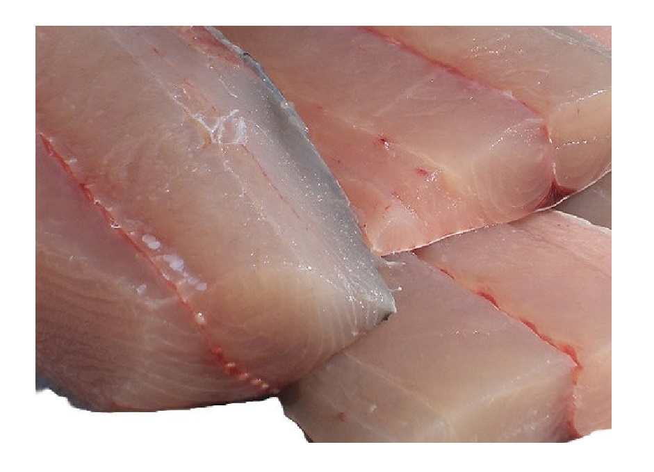 Francis Fish Frozen Fish Barracuda Fillet (per KG)