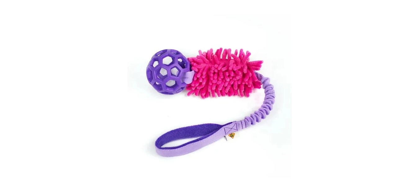 Multi Color Chew Toy (Each)