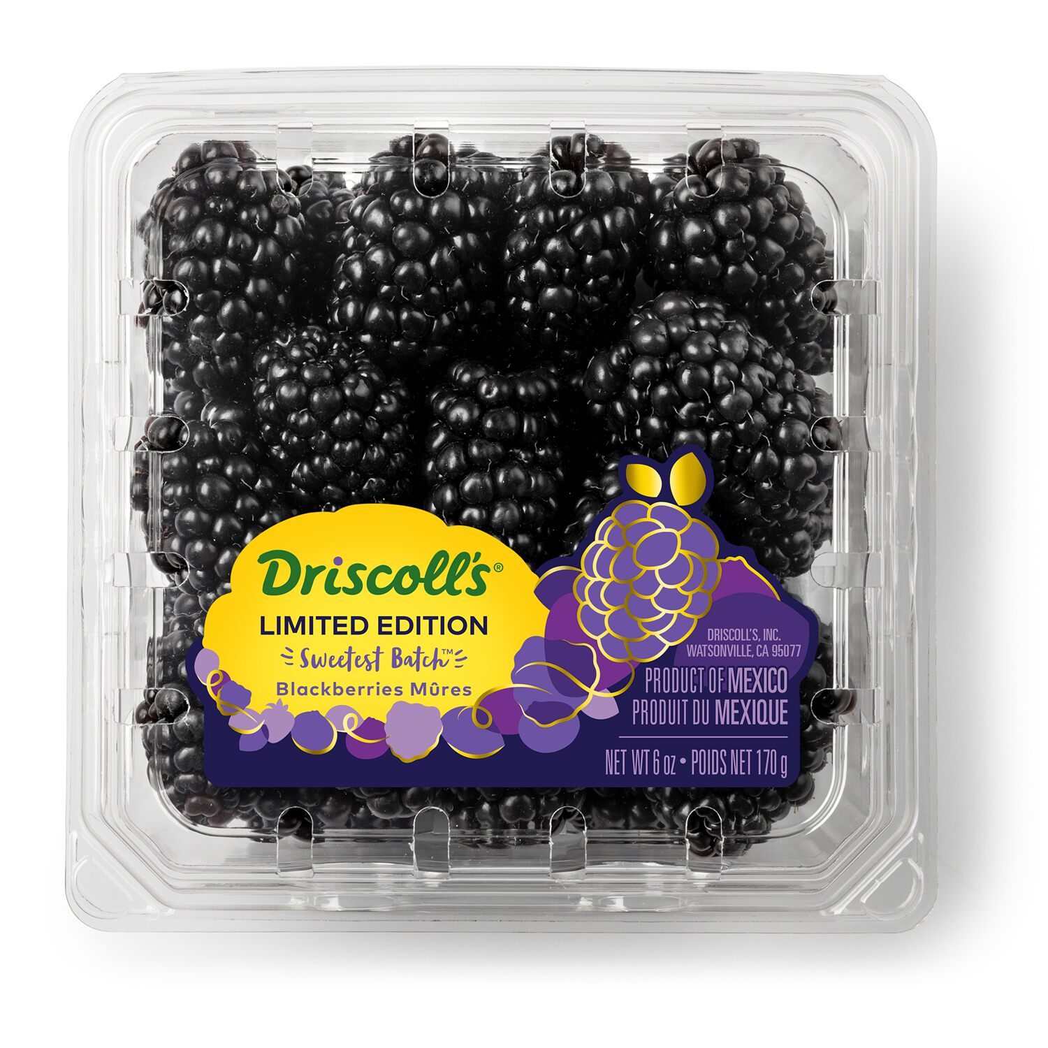 Imported Blackberries 170G