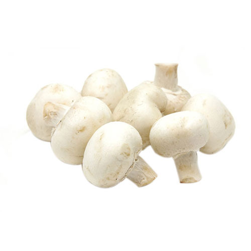 LP White Button Mushroom 227G
