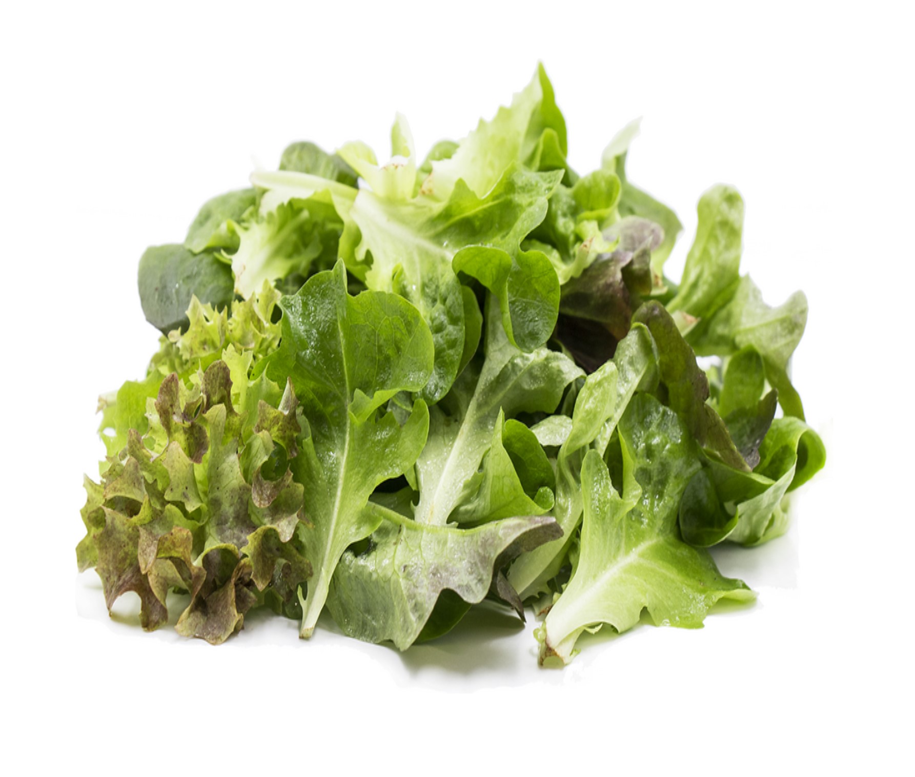 Tropical Greens Mix Baby Lettuce 200G