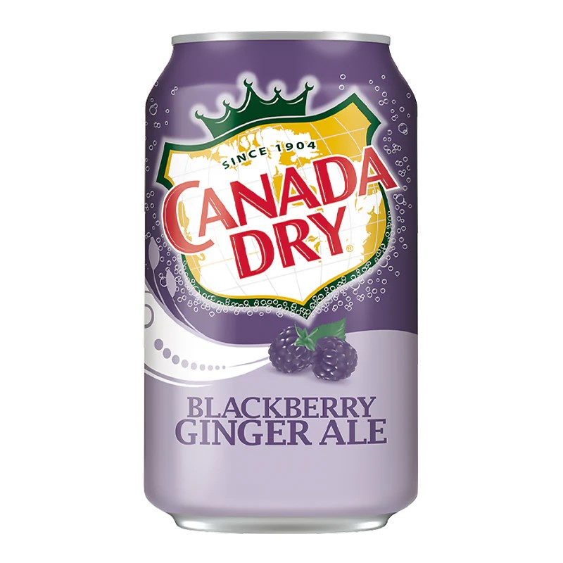 Canada Dry Blackberry Ginger Ale 355ML