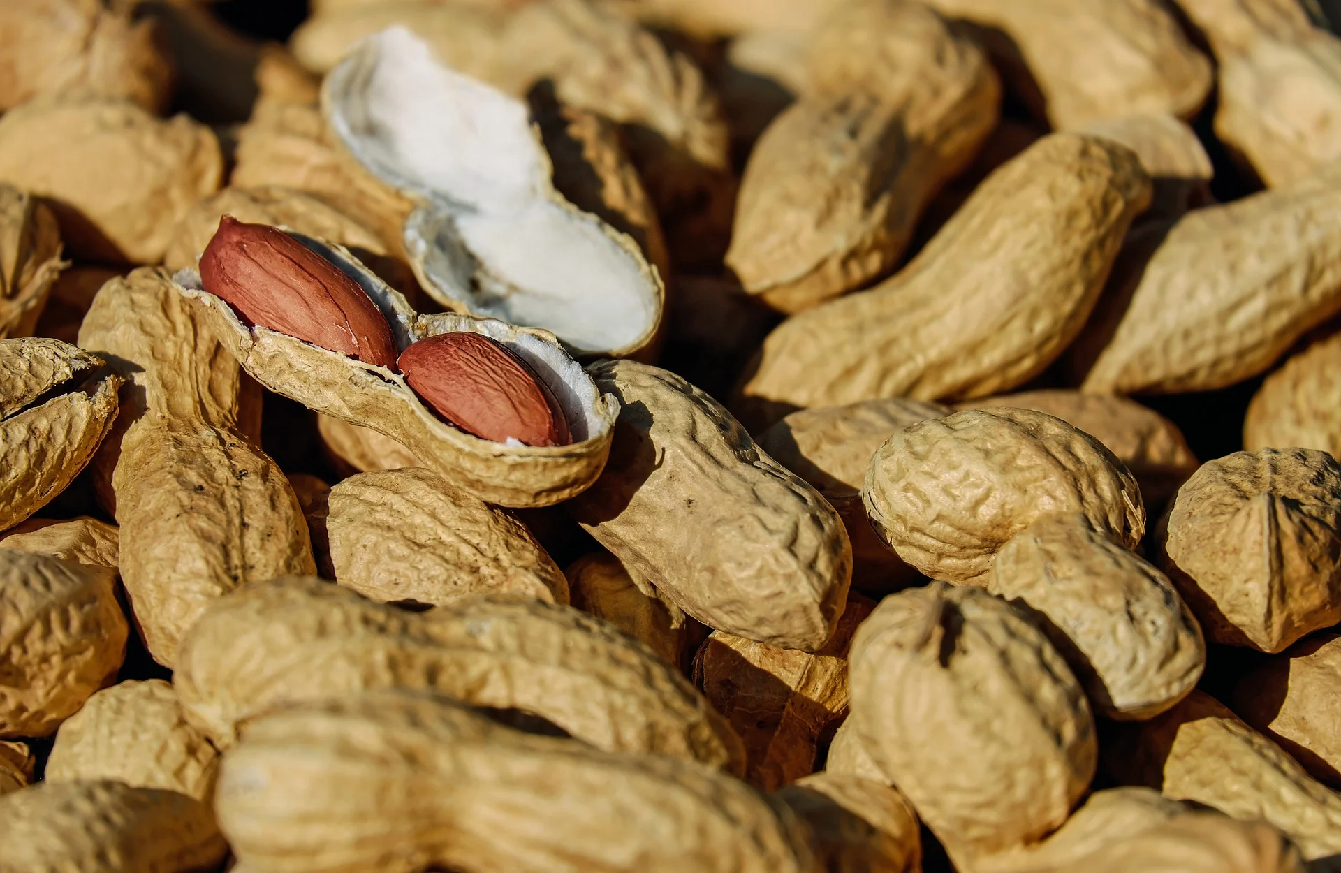 Local Produce Peanut Salted/Roasted 454G