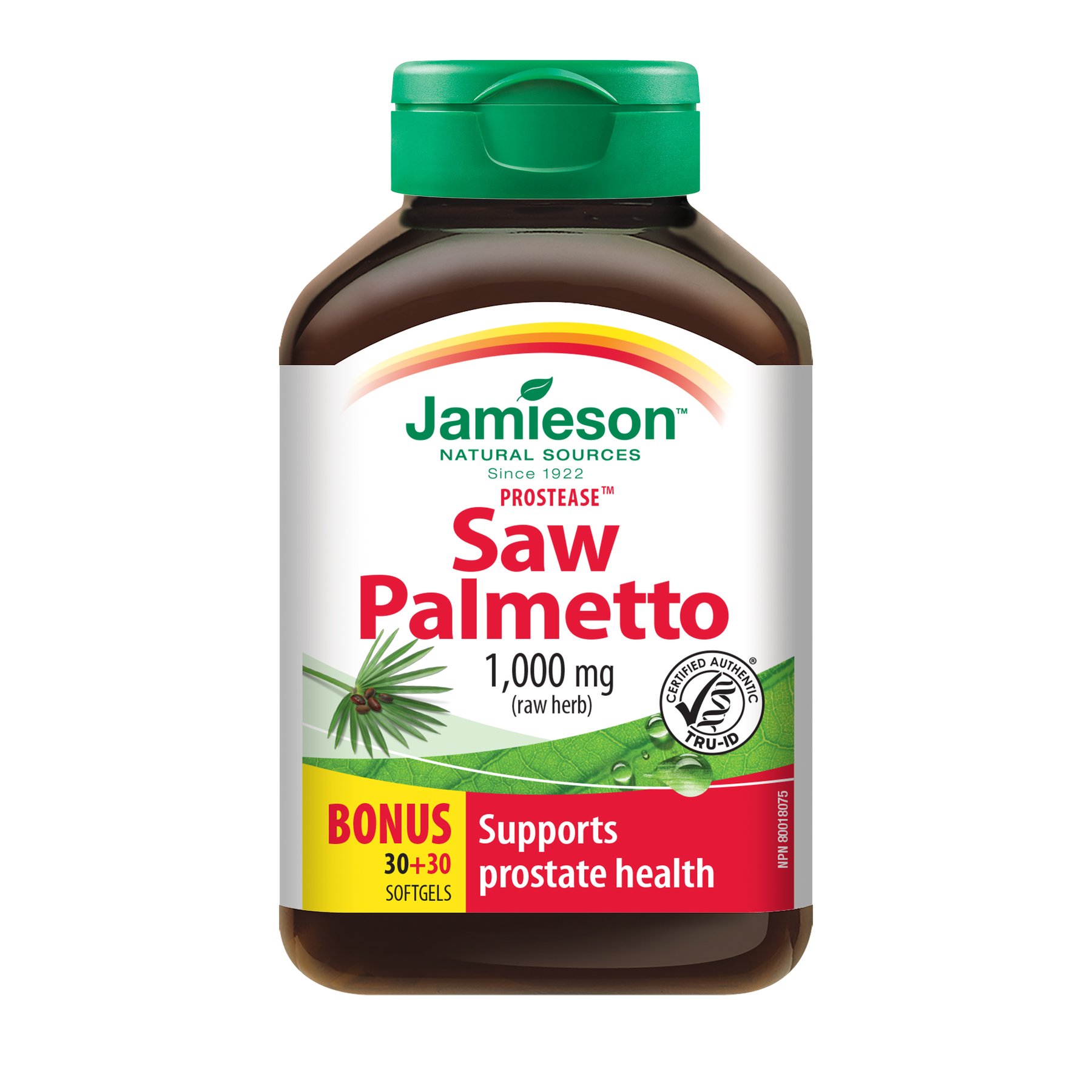 Jamison Saw Palmetto 60X (Each)