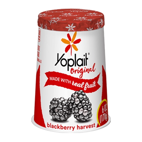 Yoplait Blackberry Harvest Yogurt 170G