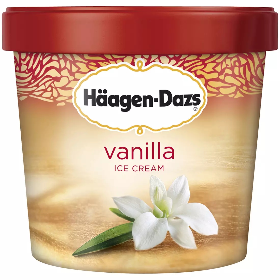 Haagen Dazs Vanilla 1.9L