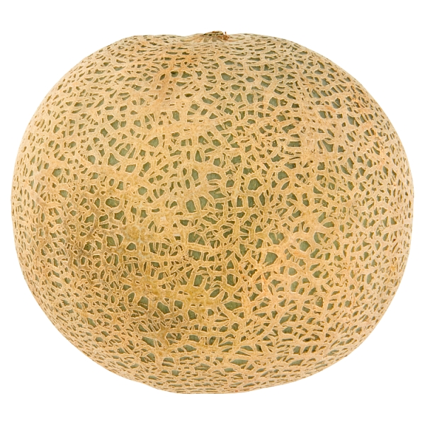 Imported Melon Cantaloupe (per KG)